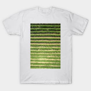 Grapevines, Greece (C036/9232) T-Shirt